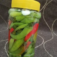 ترشی خانگی|خوردنی و آشامیدنی|تهران, خانی آباد نو شمالی|دیوار