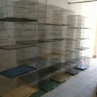 جوجه کوتوله وقفس جوجه پرون