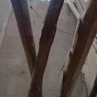 خرید انواع چوب تر و خشک خریدار|خدمات باغبانی و درختکاری|کرمانشاه, |دیوار