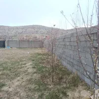 باغشهری خان زنیان