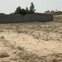 زمین-دشت-انقلاب