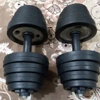 یک جفت دمبل متغیر 20 کیلویی Record