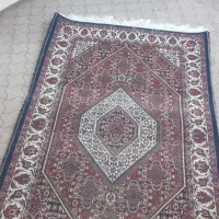 فرش زرنیم|فرش|زنجان, |دیوار