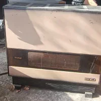 بخاری سالم نیکالا