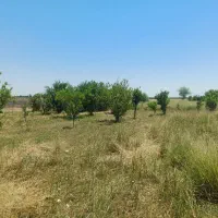 فروش-ومعاوضه-زمین-180متری-عمله-سیف-قسمت-B-کد19751