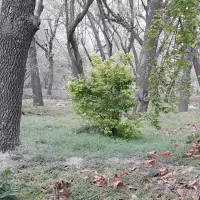 آپارتمان 65 متری