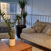 مبل چستر ساده|مبلمان خانگی و میز عسلی|مشهد, خواجه ربیع|دیوار