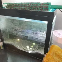 اکواریوم