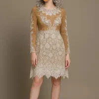 لباس مجلسی کارکرده