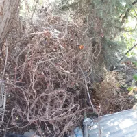 فروش آهن آلات|مصالح و تجهیزات ساختمان|نورآباد ممسنی, |دیوار