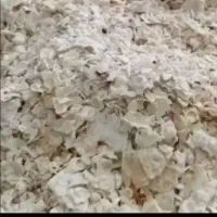 نان خشک