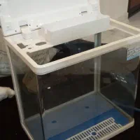 آکواریوم شرکتی|ماهی|ری, امین آباد|دیوار