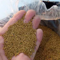 متنکه خوارو بخویننو