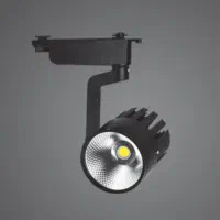 چراغ ریلی ۳۰ وات