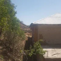 فروش زمین ۳۲۰ متری مسکونی در روستای نیاول|فروش زمین و ملک کلنگی|دیلمان, |دیوار