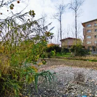 فروش-زمین-250-مسکونی-در-سرخرود