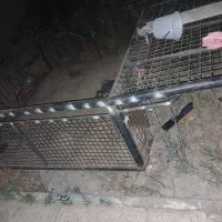 اتاق وانت
