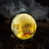 انگشتر شجر قاعنات و یاقوت سیلان|جواهرات|تهران, پرستار|دیوار