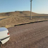 زمین کشاورزی|فروش دفتر صنعتی، کشاورزی، تجاری|کوهدشت, |دیوار