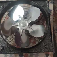 فن نو ۲۵در ۲۵
