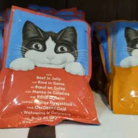 فروش ویژه پوچ ، سوپ گربه وینستون، کوشیدا،کچت،فیلیک