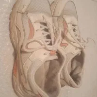 کتونی زنانه|کیف، کفش، کمربند|گرمدره, |دیوار