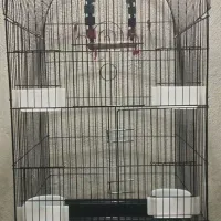 قفس پرندگان|لوازم جانبی حیوانات|بهشهر, |دیوار