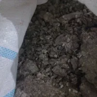 زیل کبوتر|خدمات باغبانی و درختکاری|تبریز, |دیوار