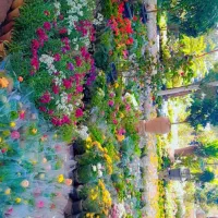 انجام کلیه کارهای باغبانی وباغچه|خدمات باغبانی و درختکاری|اهواز, بهارستان|دیوار