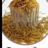 فروش‌کرم‌میل‌ورم‌‌زنده‌وخشک