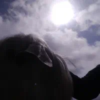 نری‌و‌قوچ.فروشی