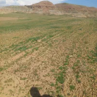 زمین کشاورزی|فروش زمین و ملک کلنگی|خواجه, |دیوار