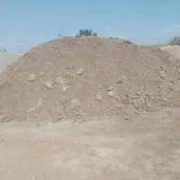 بار کود گوسفند