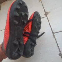 درحدنو|کیف، کفش، کمربند|بیرجند, |دیوار