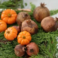 کارهای یلدایی|صنایع دستی و سایر لوازم تزئینی|رشت, پیرکلاچای|دیوار