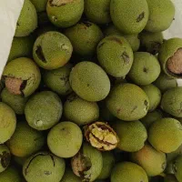 گردو خشک،تر و مغز