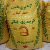 انواع برنج محصول شمال