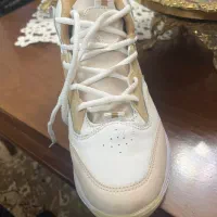 کتونی سایز۴۲|کیف، کفش، کمربند|پرند, فاز ۶|دیوار