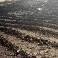 به چند نفر نیرو کار نیاز مندیم