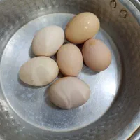 تخم مرغ خوراکی دونه ۱۰ تومن آدرس محدوده سنگر