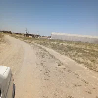 زمین گلخانه ای اماده احداث در شهرستان جعفریه|فروش دفتر صنعتی، کشاورزی، تجاری|قم, دانش|دیوار