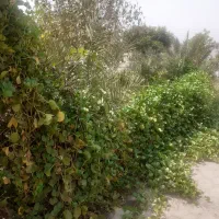 رهن یااجاره واحد۱۱۰متری جانبازان|اجارهٔ آپارتمان|اهواز, کوی نفت|دیوار