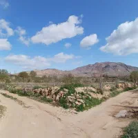 بادامزار ۲۵۰۰ متر در قوشچی