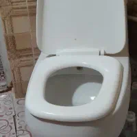 دسشویی فرنگی، روشور، شیرآلات