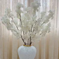 شاخه گل شکوفه
