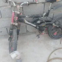 دوچرخه ماکسیما 20|دوچرخه، اسکیت، اسکوتر|نهاوند, |دیوار