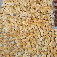 فروش برگ زردآلو وآلوچه|خوردنی و آشامیدنی|گلپایگان, |دیوار
