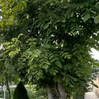 291-متر-ویلایی-طبرسی-جنوبی-رسالت