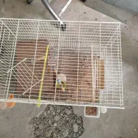 قفس پرنده دوتا با تاب آبخوری و لوازم دیگش