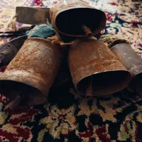 زنگوله گوسفندی